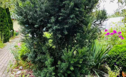 Купить дом в деревне, . Высота УМ-79, 5.4 соток. Фото 19