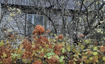 Купить дом в деревне, ДАЛЬНИЙ ОСТРОВ, 6.25 соток. Фото 15