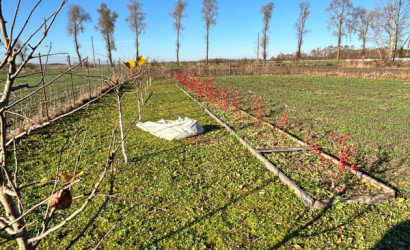 Купить дом, Погост, Набережная, 20 соток. Фото 14