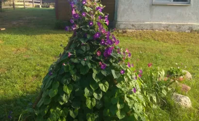  1-этаж.(392 м2), Лотевка(1 В)