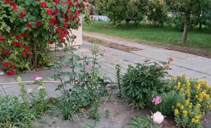 Купить дом, Феликсово, 23.5 соток. Фото 12