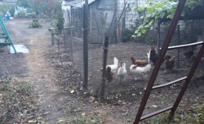 Купить дом, Гомель, Быховская,51. Гомельская обл. город Гомель, Белоруссия, 7.82 соток. Фото 6