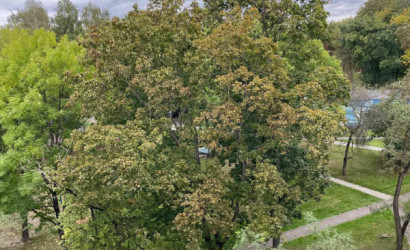 Купить 2-комнатную квартиру, Минск, Уборевича ул., 138 (Заводской район). Фото 18