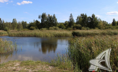 Купить дом, Харитоны, Чернинский с/с, 14.35 соток. Фото 13