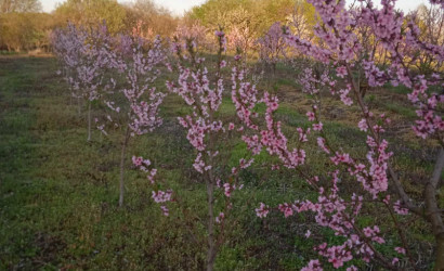 Продажа помещения, Рудка, Советская,  142.4 кв.м.. Фото 4