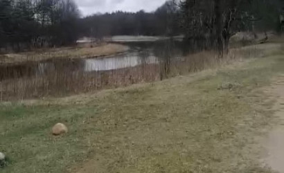 Купить дом, Сарвасы, 9, 15 соток. Фото 4