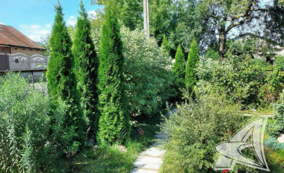 Купить дом, Чернавчицы, Чернавчицкий с/с, 9.44 соток. Фото 12