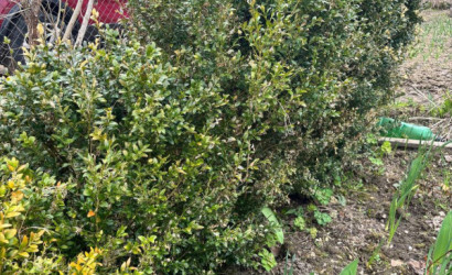 Купить дачу, Семушки, 4.56 соток. Фото 15