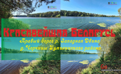 Купить дом, Черчицы, 25 соток. Фото 12