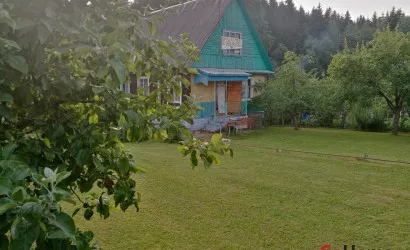  3-этаж.(162 м2), Горошки(229)