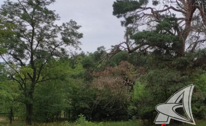 Купить участок, Домачево, Домачевский с/с, 25 соток. Фото 4
