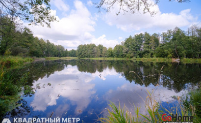 Купить дом, Сидоровичи, Речная ул., 8, 15 соток. Фото 48