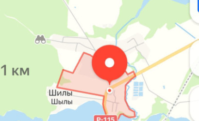 Купить дом, Должа, Советская, 12.31 соток. Фото 21