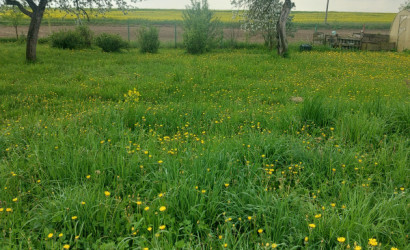 Купить участок, Жилевщина, Центральная дом2, 21 соток. Фото 13