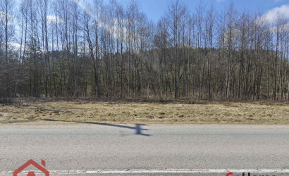 Купить участок, Вяча, Лесная, 20.07 соток. Фото 14