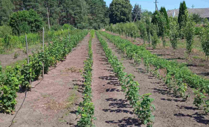 Продажа помещения, Рудка, Советская,  142.4 кв.м.. Фото 1