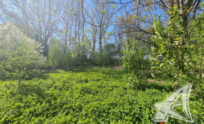 Купить дом в деревне, Луцевичи, Буховичский с/с, 24.97 соток. Фото 24