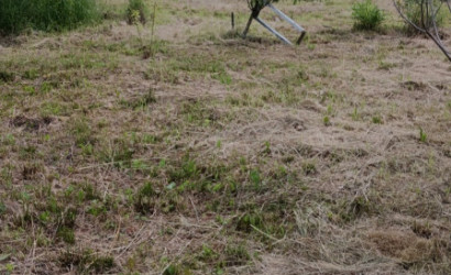 Купить участок, Зябровка, 113, садоводческое товарищество Бытрадиотехника, 7 соток. Фото 11