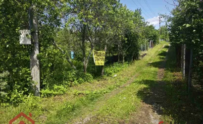  Поляна