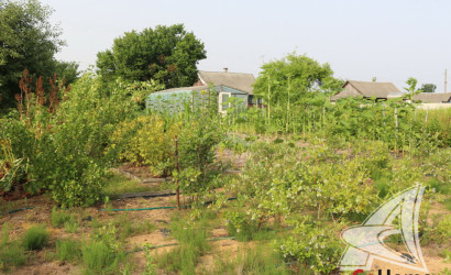 Купить дом, Леплевка, Домачевский с/с, 25 соток. Фото 35