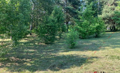 Купить участок, Столбцы, участок, 10 соток. Фото 2