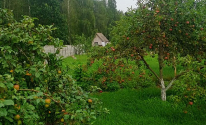 Купить участок, Верески, СТ Верески-92, 40, 10.7 соток. Фото 8