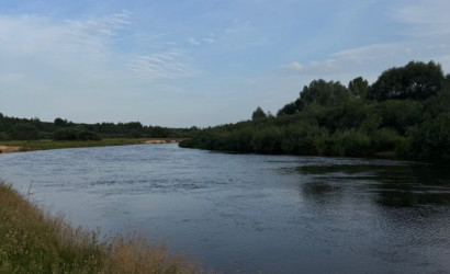 Купить дачу, Близнецы, Концевая 4, 21 соток. Фото 13