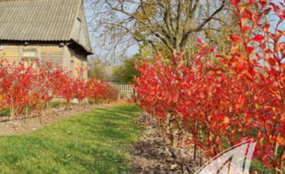 Купить дом, Рыбна, Киселевецкий с/с, 25 соток. Фото 7