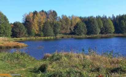  1-этаж.(54.8 м2), Пруды(Дзержинского ул.)