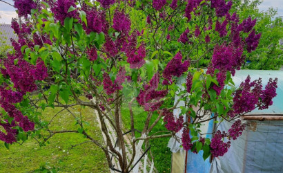 Купить дом, Петришки, 18 соток. Фото 26