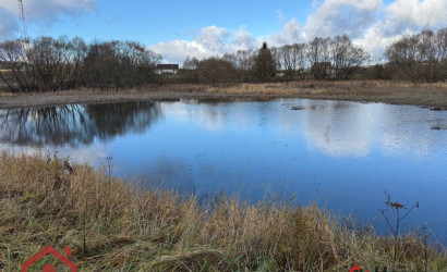 Купить участок, Приселки, 25 соток. Фото 5