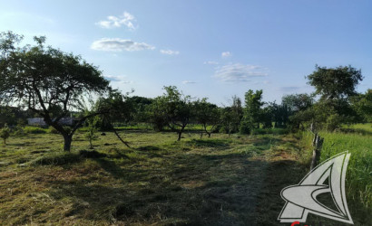 Купить дом в деревне, Чемери 1, Речицкий с/с, 24.62 соток. Фото 12