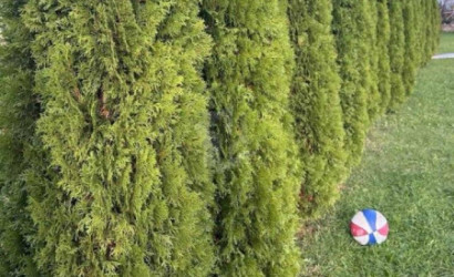 Купить дом, Цнянка, Заречная ул., 7, 14 соток. Фото 5