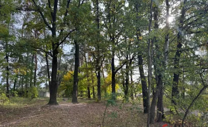  1-этаж.(154 м2), Барановичи(Димитрова)
