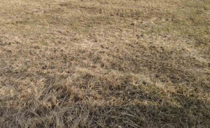 Купить участок, СТ Лесное-90, 7.44 соток. Фото 9