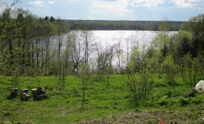 Купить участок, Плино, Центральная, 19, 25 соток. Фото 4