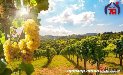Купить участок, Гиревичи, 25 соток. Фото 18