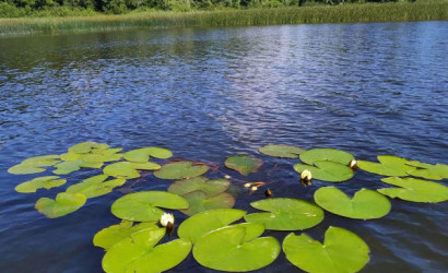 Купить дом, Замостье, Зеленая ул., 15 соток. Фото 17