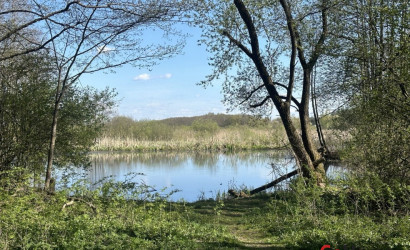 Купить 1-комнатную квартиру, Озерный, Санаторий-профилакторий Волма, 1. Фото 20