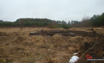 Купить участок, Суринты, 25 соток. Фото 8