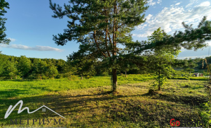 Купить 1-комнатную квартиру, Казельщина, Центральная. Фото 36