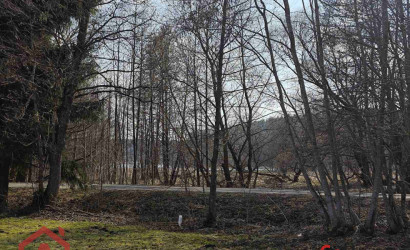 Купить участок, Мочаны, Заречная, 33Б, 11.94 соток. Фото 38