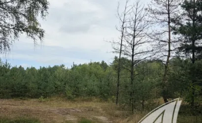  90.4 м2, Брест(Речица)