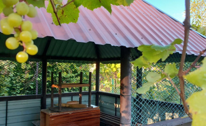 Купить дачу, Берестеново, СТ Родник2, 6 соток. Фото 2