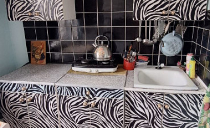 Купить дачу, Родник СПМК-49, 8 соток. Фото 5