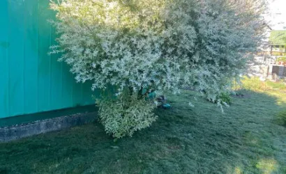  1-этаж.(28 м2), Негорелое(СТ ВЕРАСОК ПЛЮС, 3 км от пос. Энергетиков)