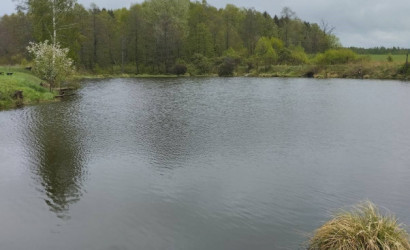 Купить дом, Денисовщина, 25 соток. Фото 10