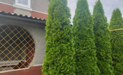 Купить дом в деревне, Автомобилист-80, 5.09 соток. Фото 16