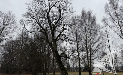 Продажа офиса, Речица,  от 115.4 до 955.7 кв.м.. Фото 18