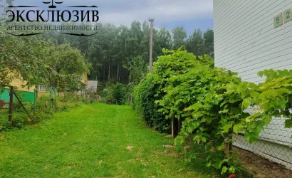  123.6 м2, Березовая роща